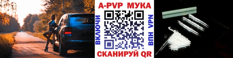 APVP СК КРИС  Суворов 