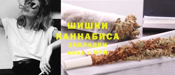 дживик Магас