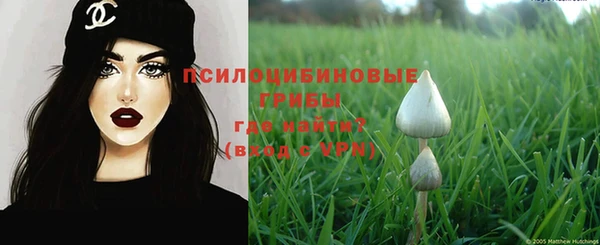 дживик Магас