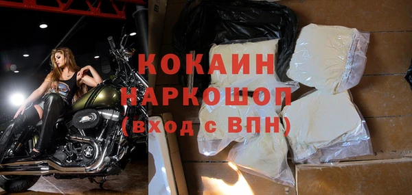 дживик Магас