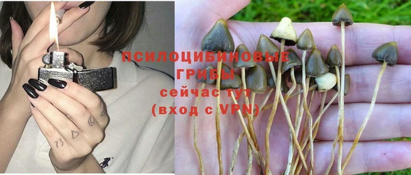 Альфа ПВП Липки