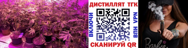 Дистиллят ТГК Wax  Суворов 