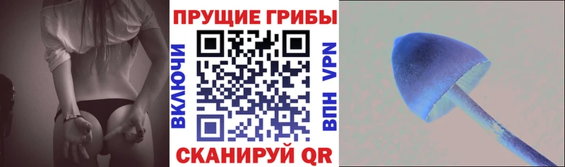 купить наркоту Суворов Галлюциногенные грибы прущие грибы