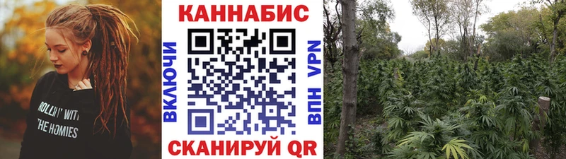 Бошки Шишки THC 21%  где найти наркотики  Суворов 